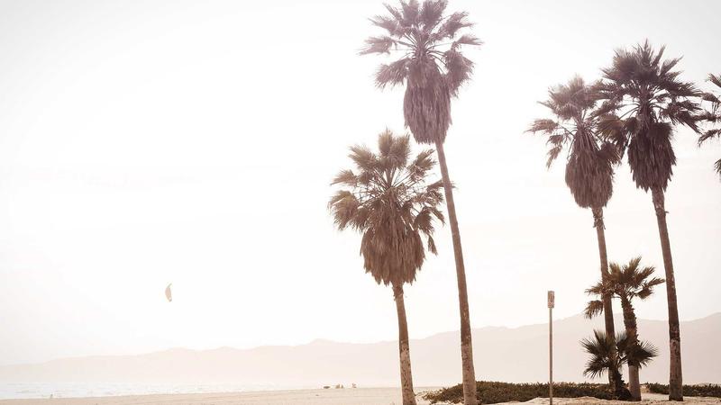 磁力蜘蛛关于我们主视觉，展现磁力搜索与磁力牵引的精准网络